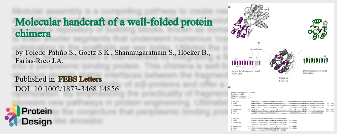 2024-10_10021/873-3468_14856