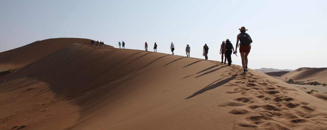Geowissenschaften an der Universität Bayreuth. Exkursion in der Namib-Wüste in Namibia.