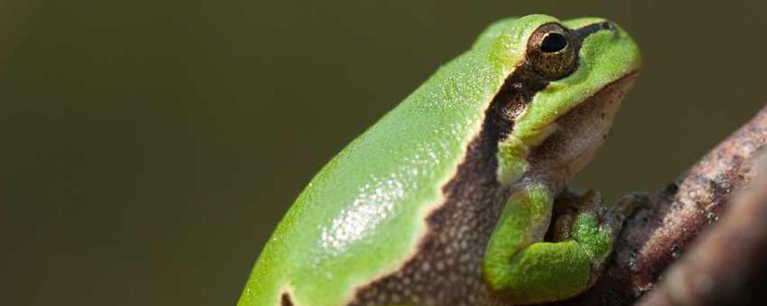 Biology at the University of Bayreuth. Photo: Dengler